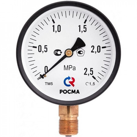Манометр Росма ТМ-210Р.00(0-1Мpa) G1/4 50мм. радиальный  купить в Воронеже 